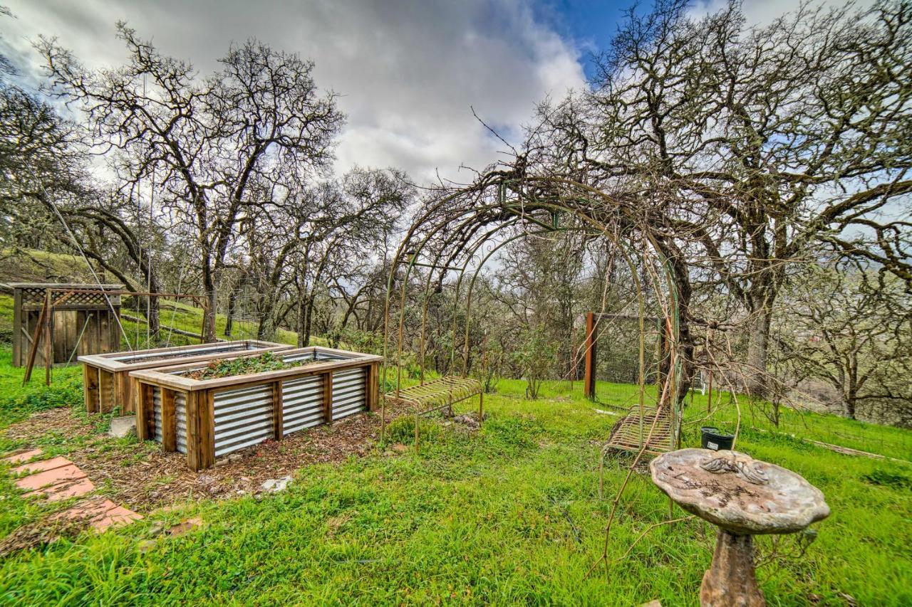 Hilltop Loft Ukiah Vacation Rental! Εξωτερικό φωτογραφία